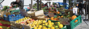 marche-WEB