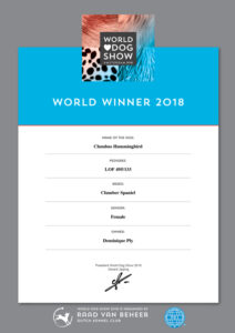 titre-championne-du-monde--2018.