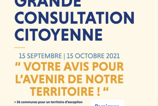 Grande consultation citoyenne