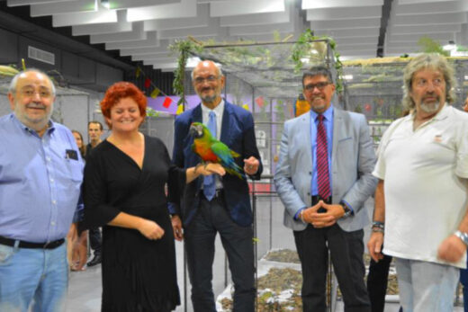 Exposition d&#8217;oiseaux du CAN.EXO.CLUB.CATALAN