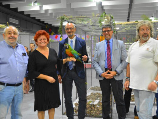 Exposition&#x20;d&amp;&#x23;8217&#x3B;oiseaux&#x20;du&#x20;CAN.EXO.CLUB.CATALAN