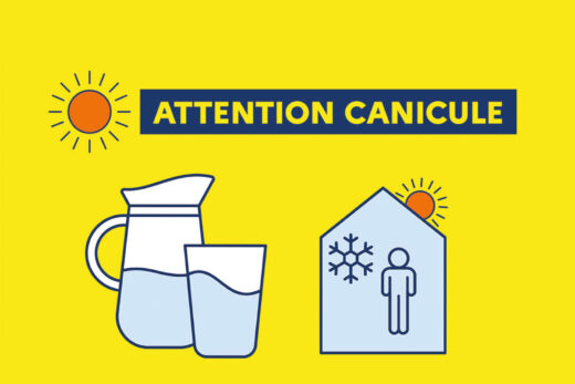 PLAN CANICULE