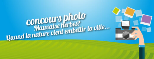 Concours&#x20;photo&#x20;&#x3A;&#x20;Mauvaises&#x20;herbes&#x3F;&#x20;quand&#x20;la&#x20;nature&#x20;embellie&#x20;la&#x20;ville