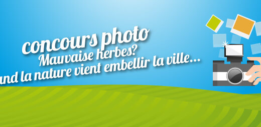 Concours photo : Mauvaises herbes? quand la nature embellie la ville