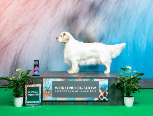 Championne&#x20;du&#x20;monde&#x20;canin&#x20;&#x00E0;&#x20;Canoh&#x00E8;s