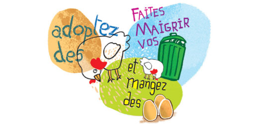 Remise&#x20;de&#x20;Poules&#x20;&#x00E0;&#x20;des&#x20;familles&#x20;Canouhardes.