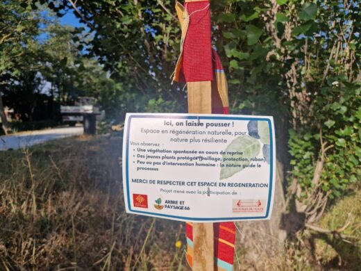 Et&#x20;si&#x20;on&#x20;laissait&#x20;faire&#x20;la&#x20;nature&#x00A0;&#x3F;