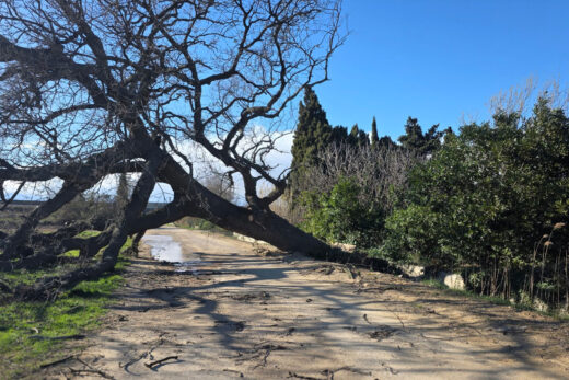 🌬️ TEMPÊTE : RESTONS VIGILANTS !