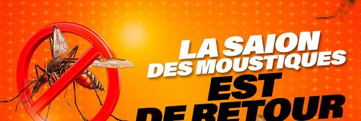 LA SAISON DES MOUSTIQUES TIGRES EST DE RETOUR