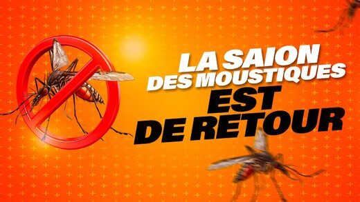 LA&#x20;SAISON&#x20;DES&#x20;MOUSTIQUES&#x20;TIGRES&#x20;EST&#x20;DE&#x20;RETOUR