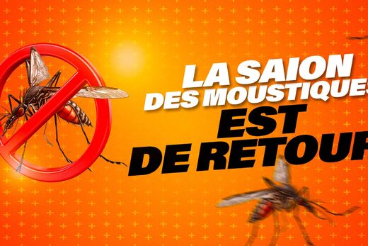 LA SAISON DES MOUSTIQUES TIGRES EST DE RETOUR